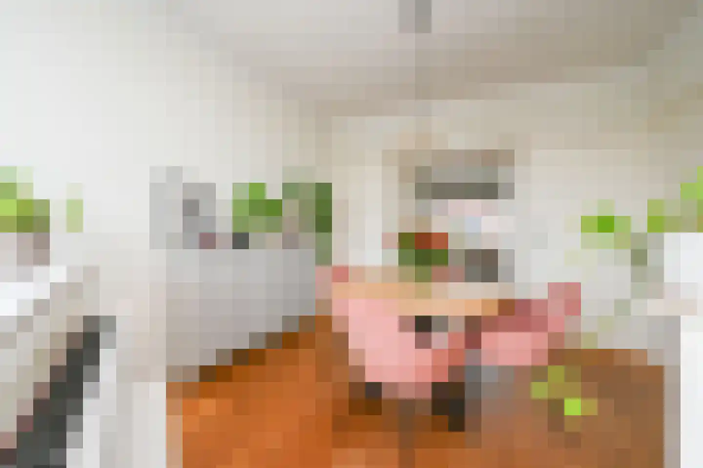 van Gaesbekestraat 67 Voorburg thumbnail 22