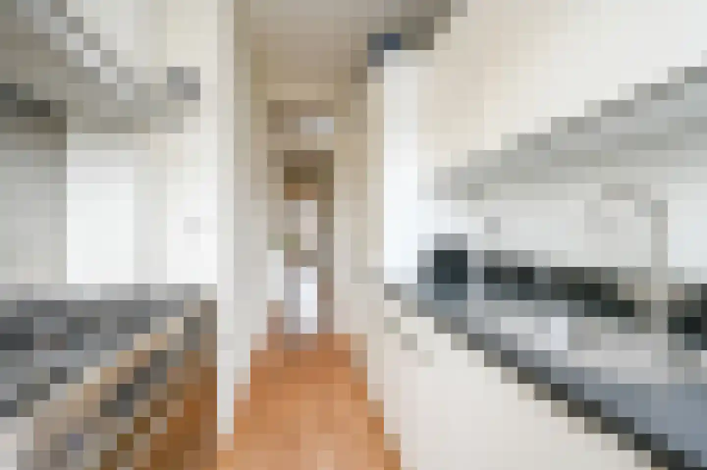 van Gaesbekestraat 67 Voorburg thumbnail 25