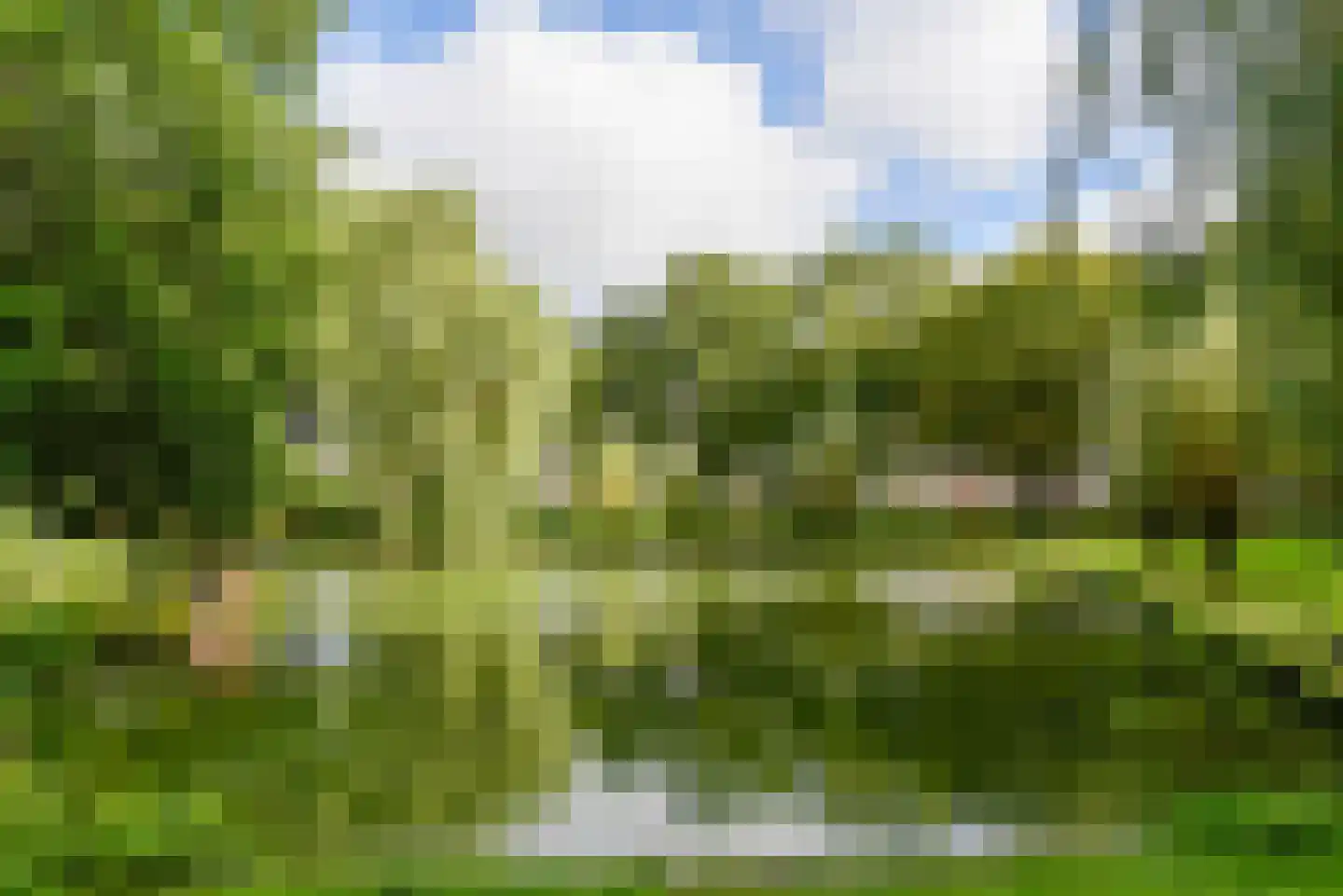 van Gaesbekestraat 67 Voorburg thumbnail 40
