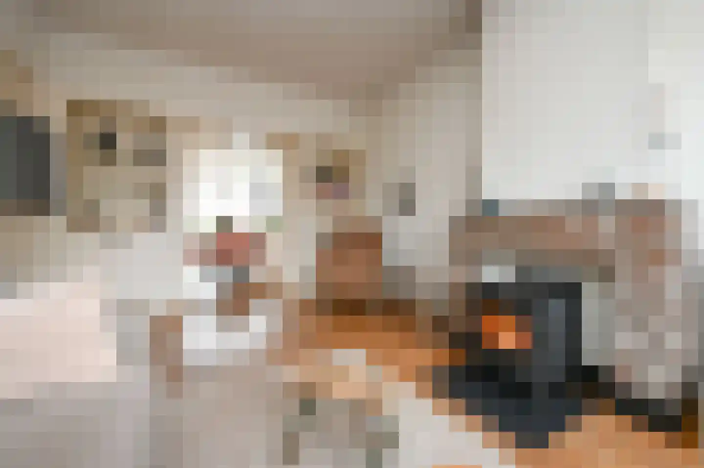 van Gaesbekestraat 67 Voorburg thumbnail 6