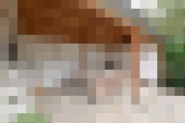 Van Galenlaan 1 Bussum thumbnail 16