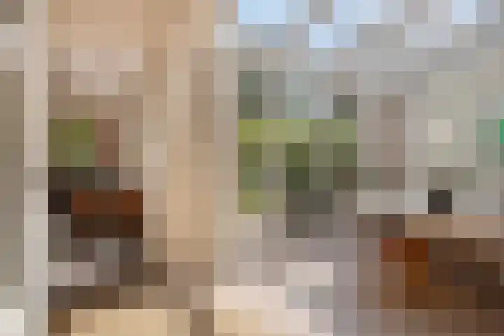 van Galenlaan 13 Velp thumbnail 13