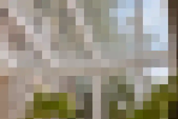 van Galenlaan 13 Velp thumbnail 24