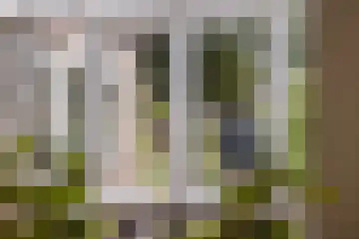 van Galenlaan 13 Velp thumbnail 25