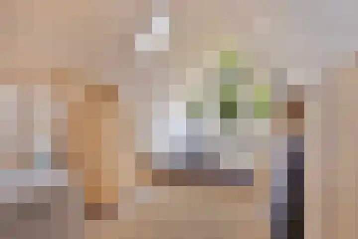 van Galenlaan 13 Velp thumbnail 33