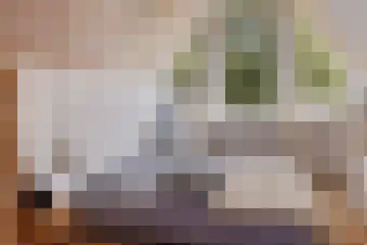 van Galenlaan 13 Velp thumbnail 34