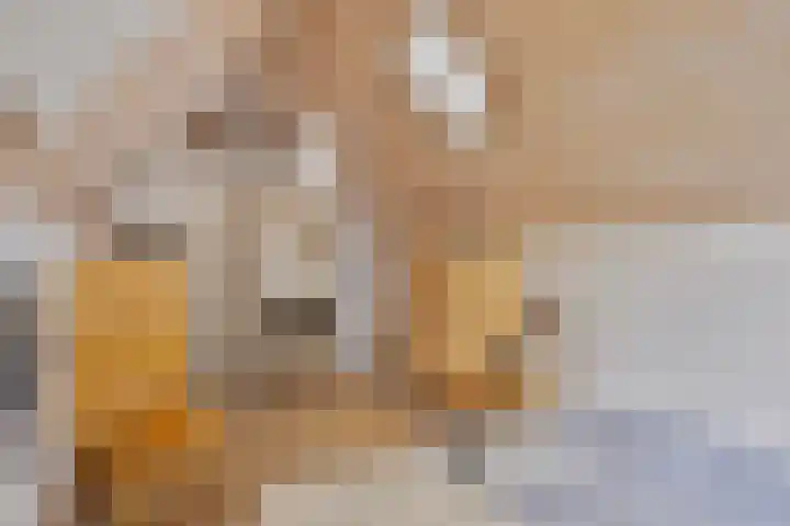 van Galenlaan 13 Velp thumbnail 35