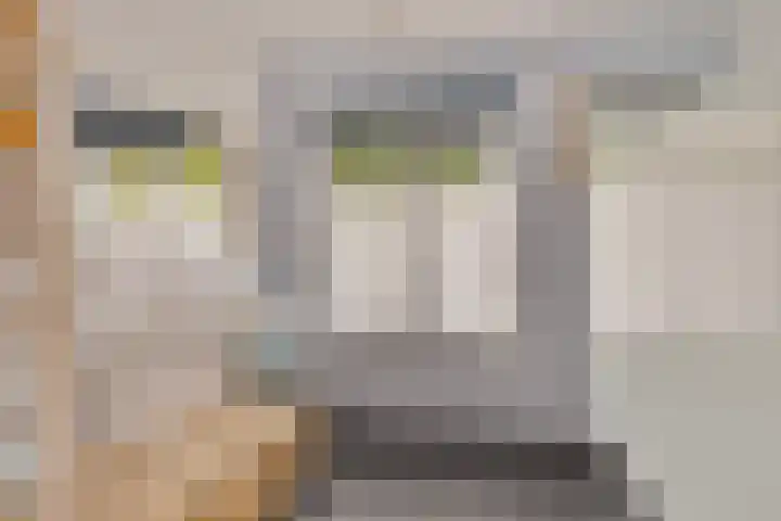 van Galenlaan 13 Velp thumbnail 36