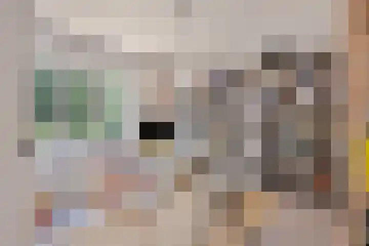 van Galenlaan 13 Velp thumbnail 39