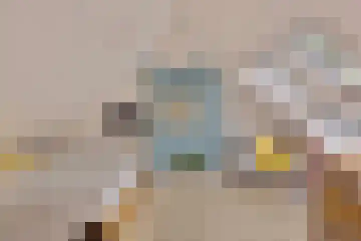 van Galenlaan 13 Velp thumbnail 41