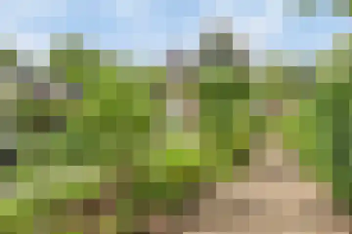 van Galenlaan 13 Velp thumbnail 43