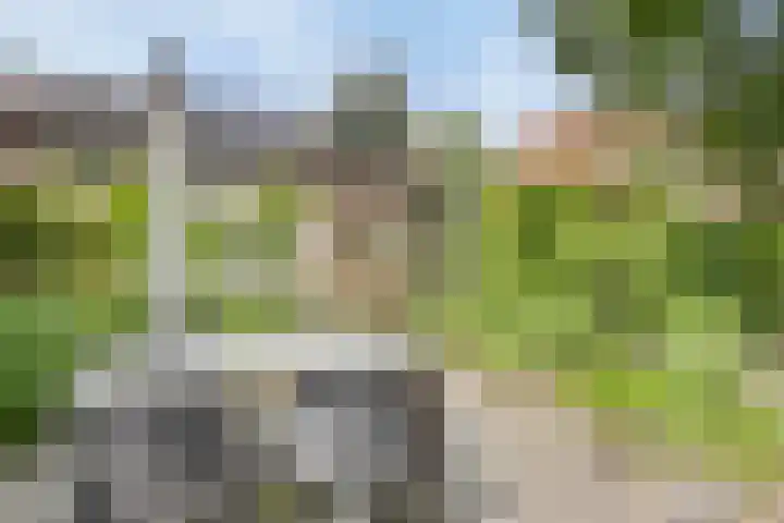 van Galenlaan 13 Velp thumbnail 45