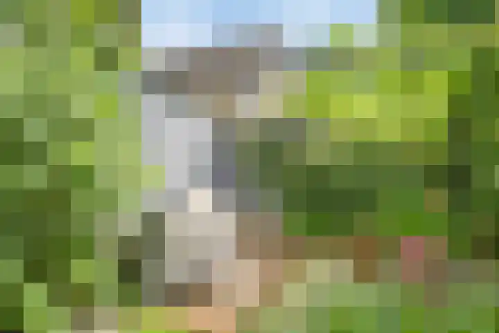 van Galenlaan 13 Velp thumbnail 46