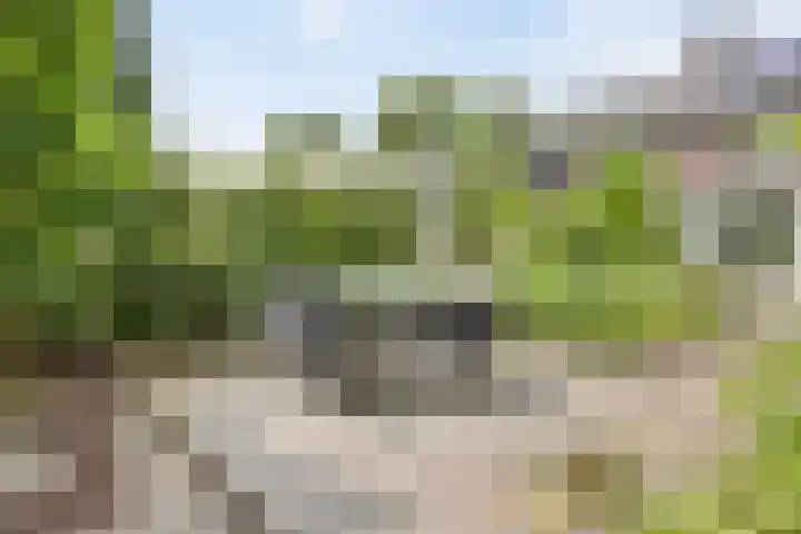 van Galenlaan 13 Velp thumbnail 47