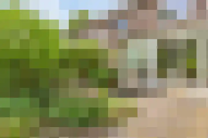 van Galenlaan 13 Velp thumbnail 48