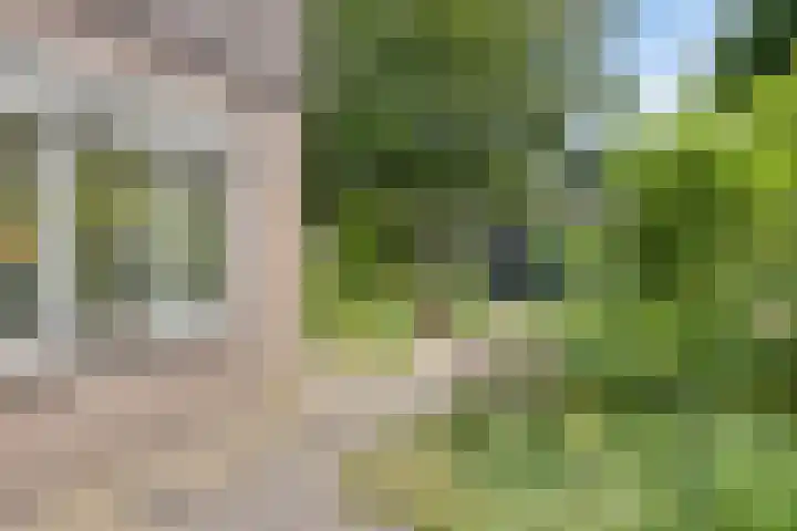 van Galenlaan 13 Velp thumbnail 49