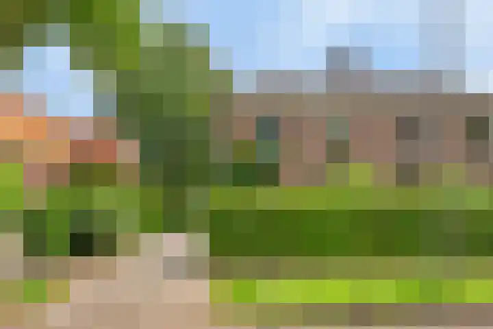 van Galenlaan 13 Velp thumbnail 5