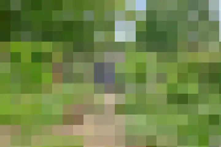 van Galenlaan 13 Velp thumbnail 50