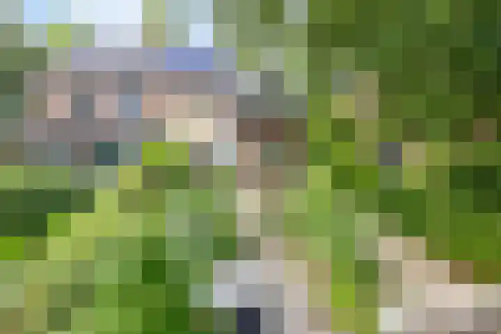 van Galenlaan 13 Velp thumbnail 51