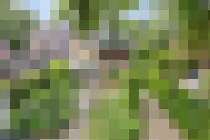 van Galenlaan 13 Velp thumbnail 52