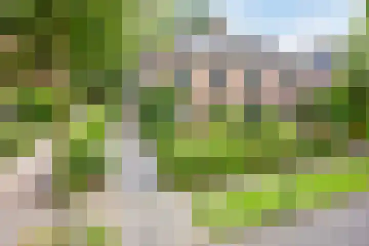 van Galenlaan 13 Velp thumbnail 59