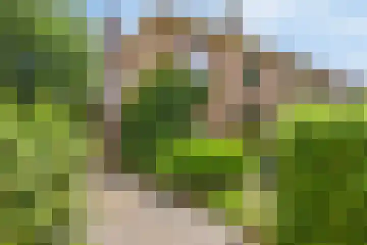 van Galenlaan 13 Velp thumbnail 7