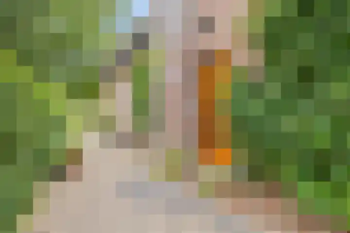 van Galenlaan 13 Velp thumbnail 8