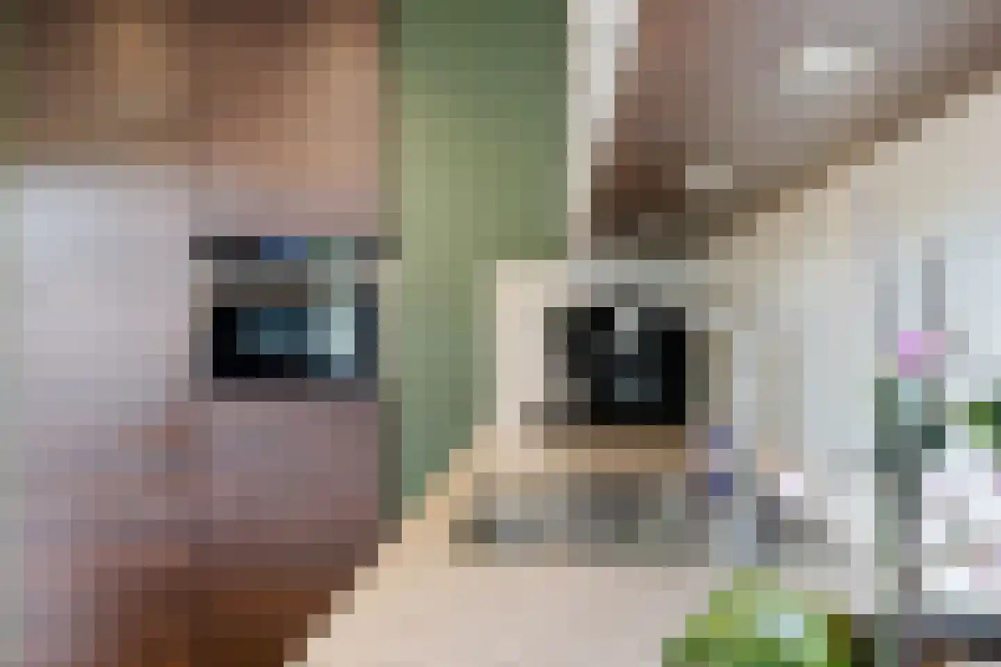 Van Galenlaan 13 Woudenberg thumbnail 14
