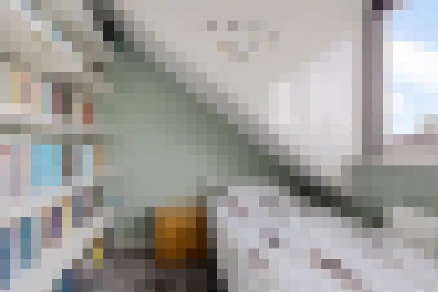 Van Galenlaan 13 Woudenberg thumbnail 31