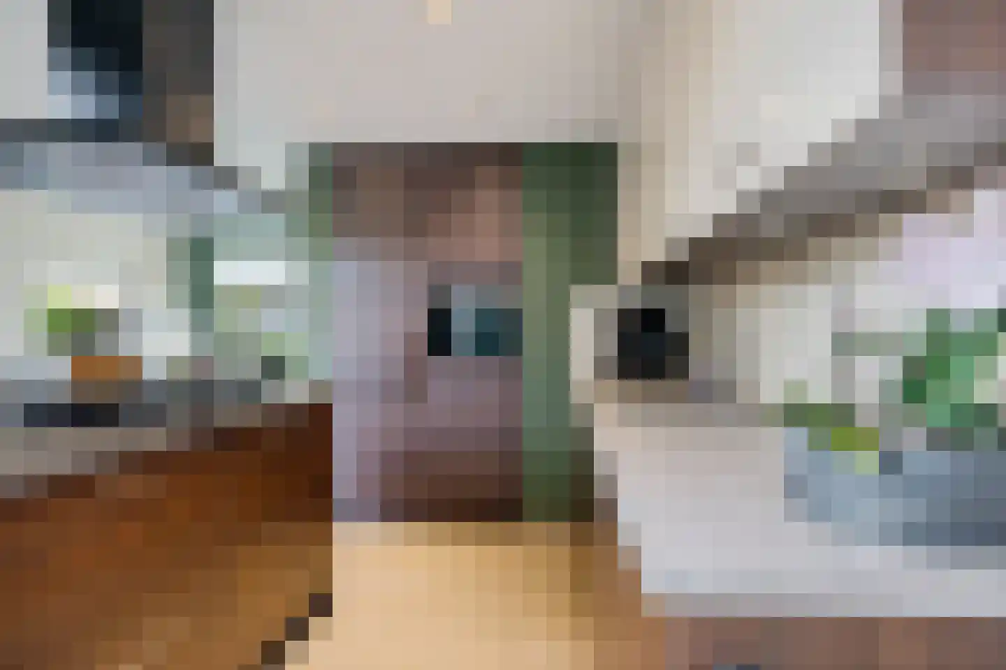 Van Galenlaan 13 Woudenberg thumbnail 4