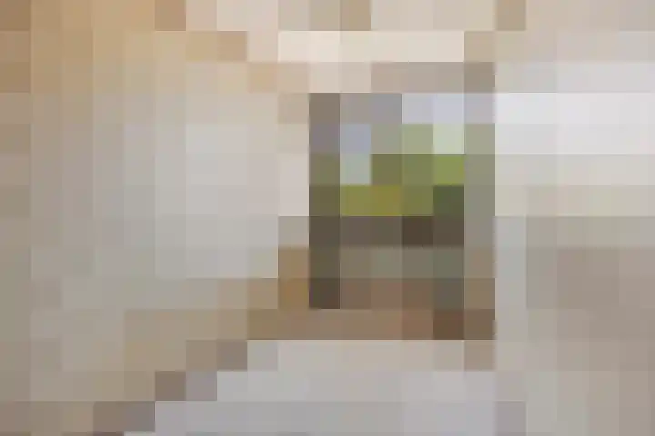 van Galenlaan 25 Doorn thumbnail 17