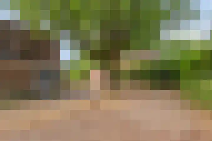 van Galenlaan 25 Doorn thumbnail 22