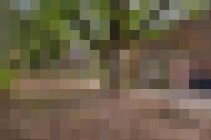 van Galenlaan 25 Doorn thumbnail 23