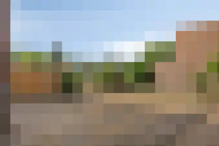 van Galenlaan 25 Doorn thumbnail 26