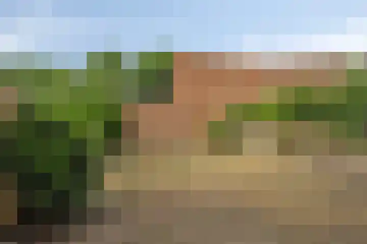 van Galenlaan 25 Doorn thumbnail 27