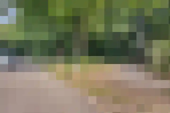 van Galenlaan 25 Doorn thumbnail 29