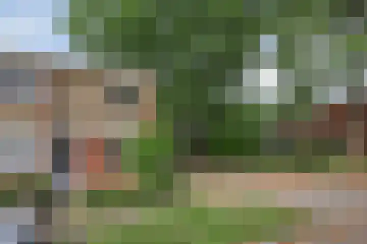 van Galenlaan 25 Doorn thumbnail 4