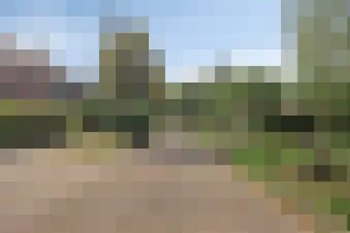 van Galenlaan 25 Doorn thumbnail 5