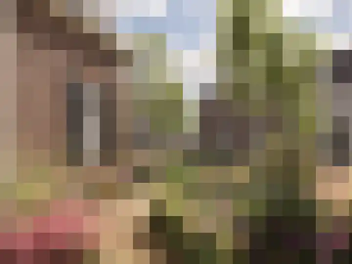 van Galenlaan 3 C Baarn thumbnail 13