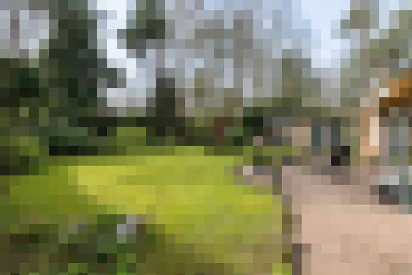van Galenlaan 3 Doorn thumbnail 40