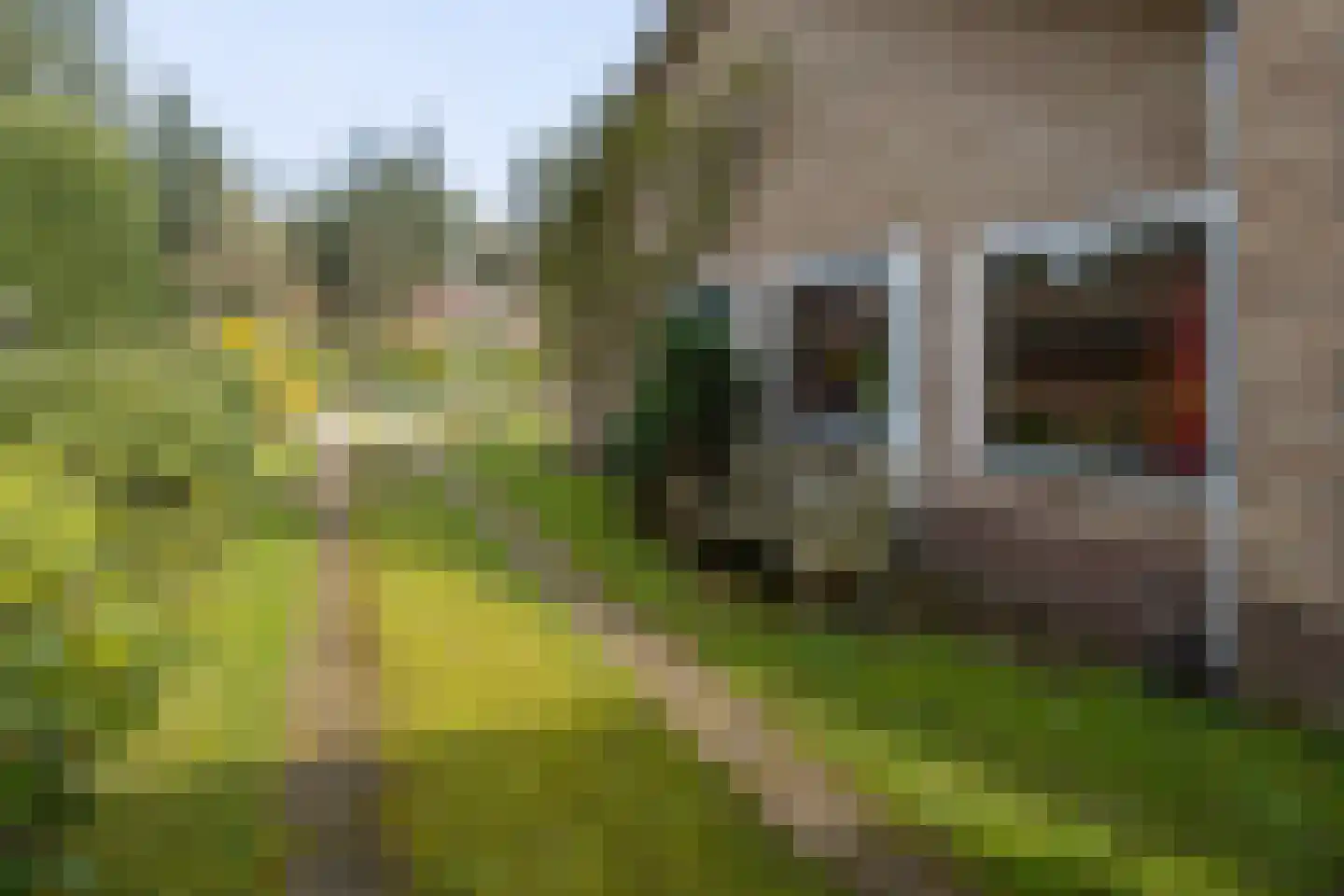 van Galenlaan 3 Doorn thumbnail 42