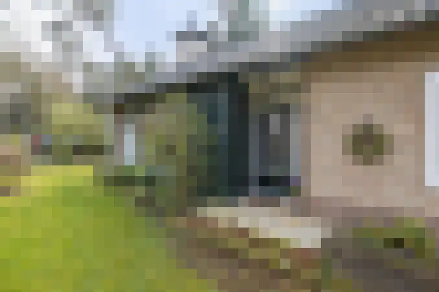 van Galenlaan 3 Doorn thumbnail 45