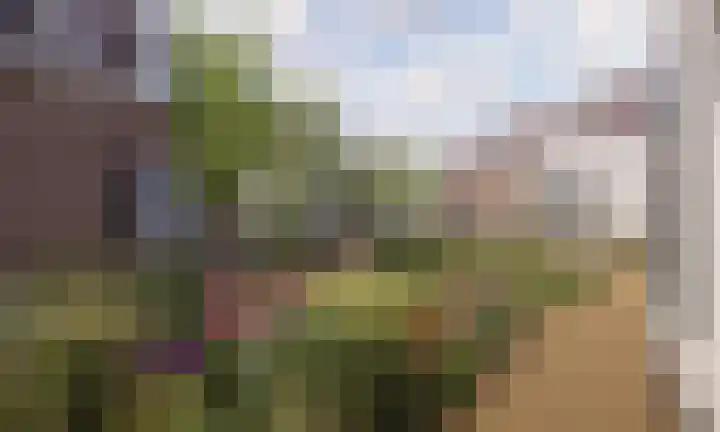 van Galenlaan 3 E Baarn thumbnail 14