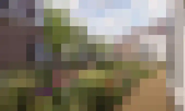 van Galenlaan 3 G Baarn thumbnail 13