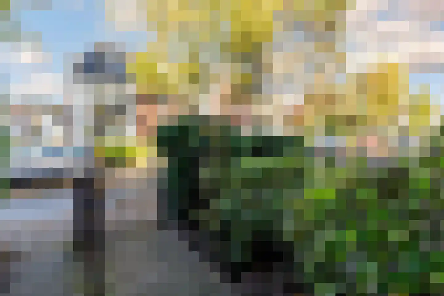van Galenlaan 5 Baarn thumbnail 58