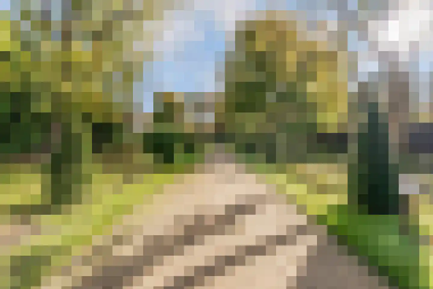 van Galenlaan 5 Baarn thumbnail 65