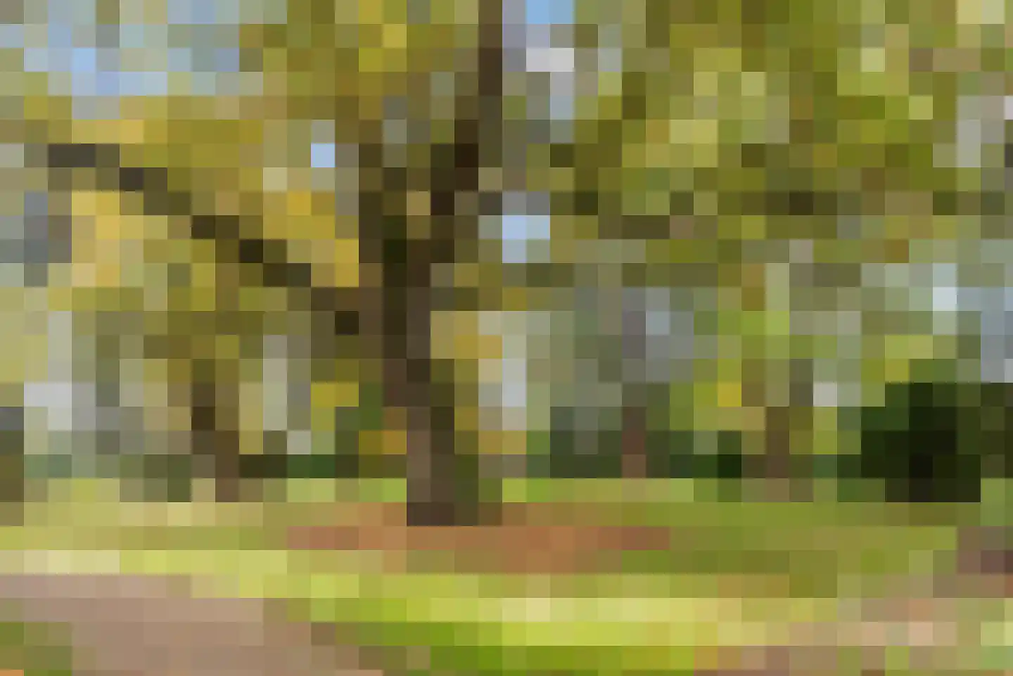 van Galenlaan 5 Baarn thumbnail 66
