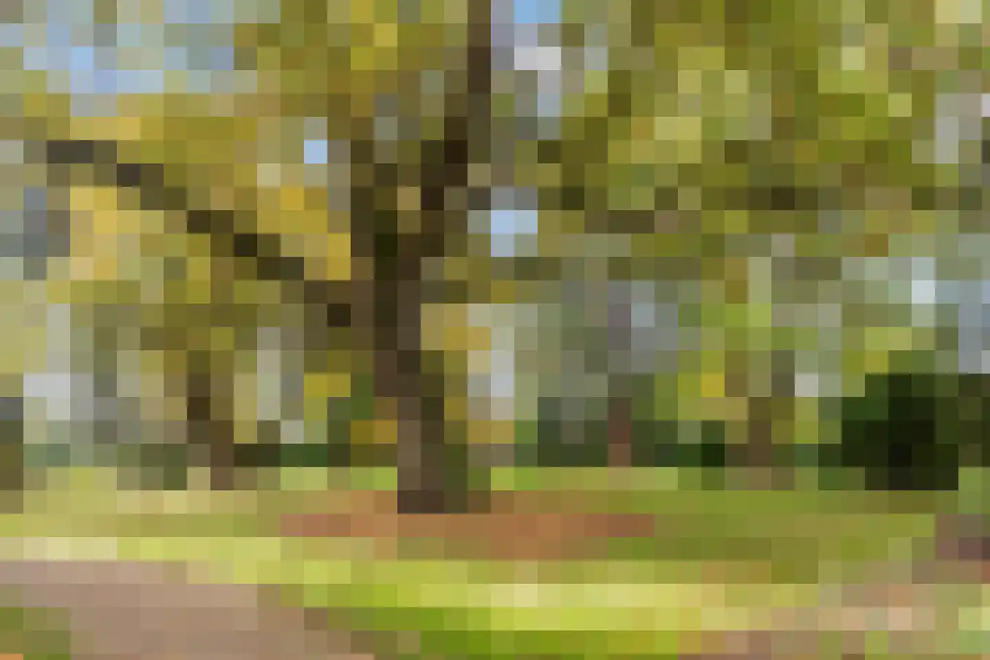 van Galenlaan 5 Baarn thumbnail 66