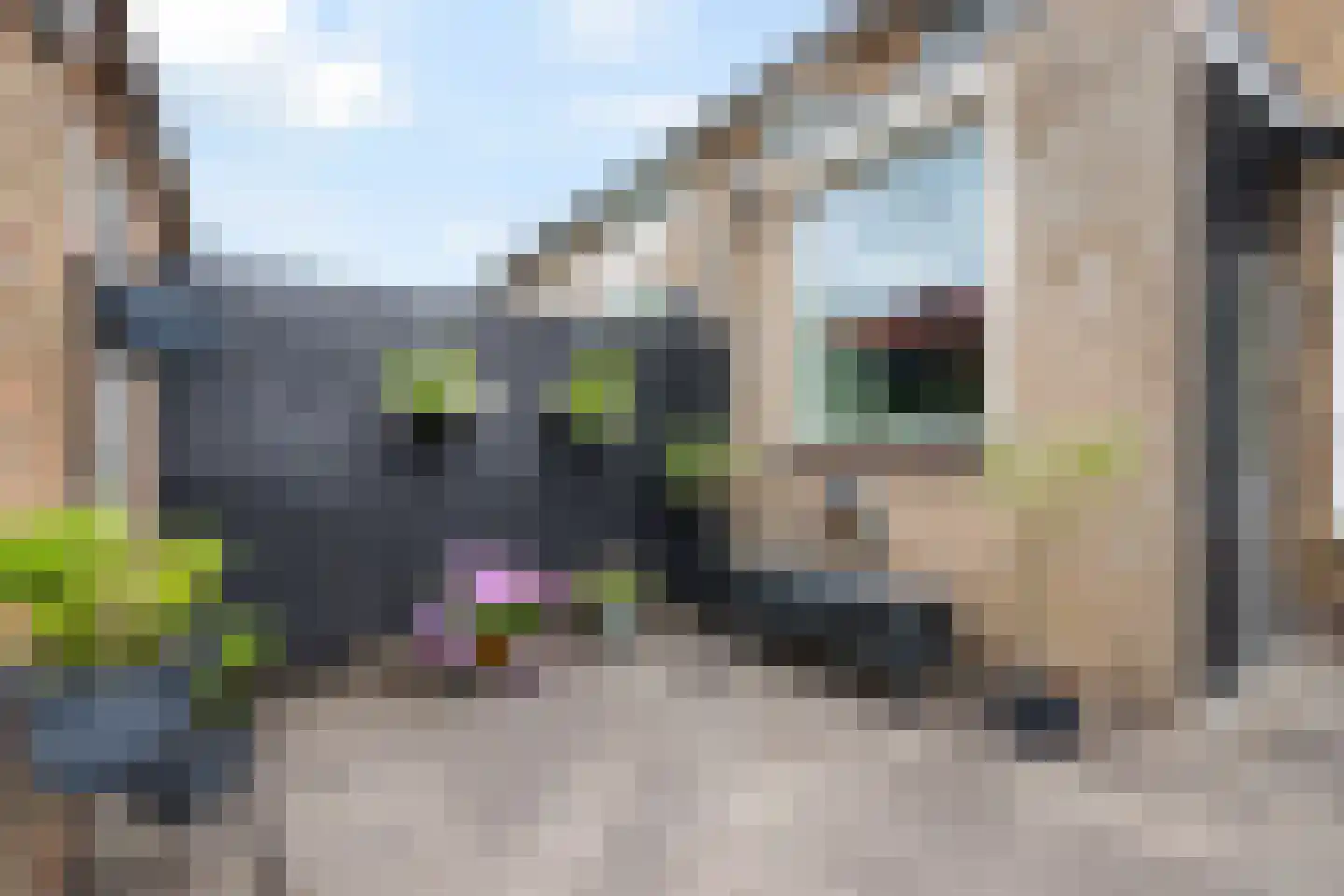 Van Galenlaan 6 Bussum thumbnail 32