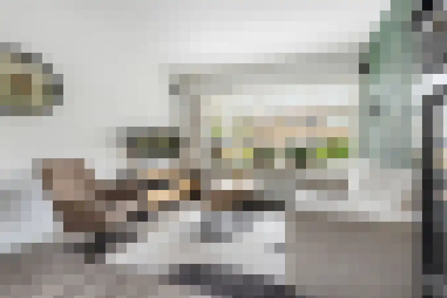 Van Galenlaan 6 Bussum thumbnail 6